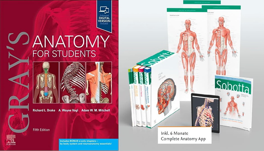 and　Value　Package,　5th　5e　for　Κωνσταντάρας　Edition　Atlas　Students　of　Anatomy,　ed.,　Paulsen:　Pack,　Sobotta　Εκδόσεις　17th　English/Latin　Gray's　Anatomy